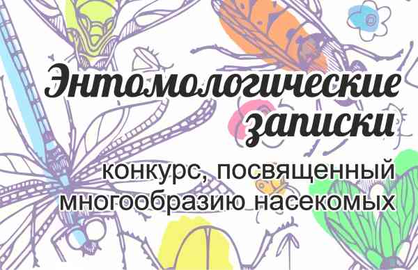 «Энтомологические записки» III Международный творческий конкурс, посвященный многообразию насекомых мира