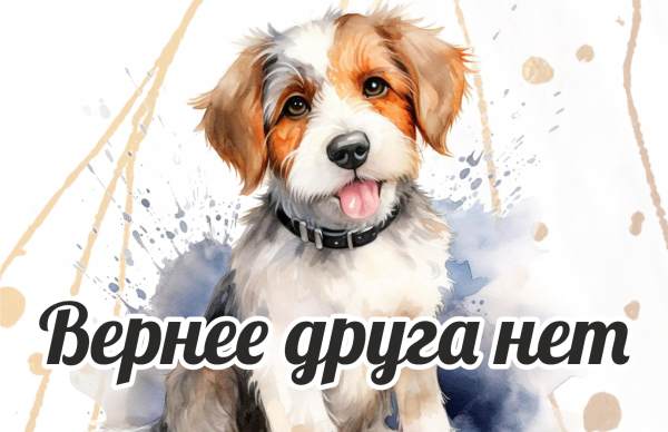 «Вернее друга нет» Международный творческий конкурс ко Всемирному Дню домашних животных